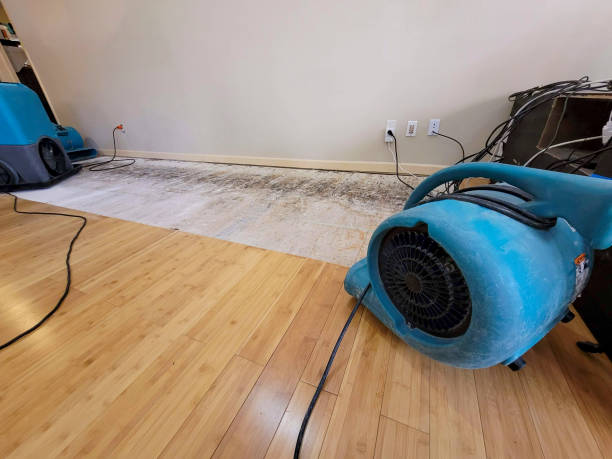 Professional Structural Drying technician working in Dunlap, CA